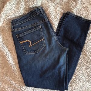 American Eagle Outfitters Dark Blue Skinny Jeans